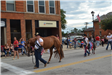 Woman walking horse in parade