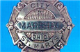 Police Officer Badge